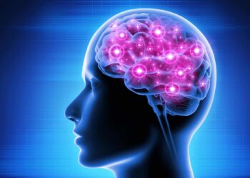 برگزاری نشست مغز فرهنگی