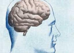 گفت و شنودی پیرامون فلسفه ذهن